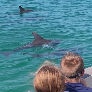 3 Hour Crab Island and Dolphin Cruise from Destin  5