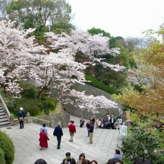 京都：ガイド付きウォーキングツアー＋清水寺＆高台寺入場 5