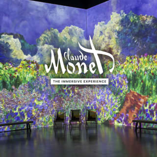 Monet: The Immersive Experience 3