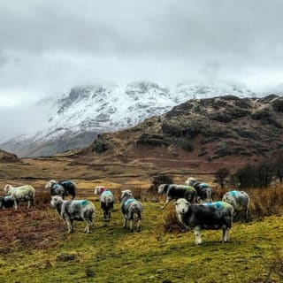 Giorno daцювентура nel Lake District da Liverpool 4
