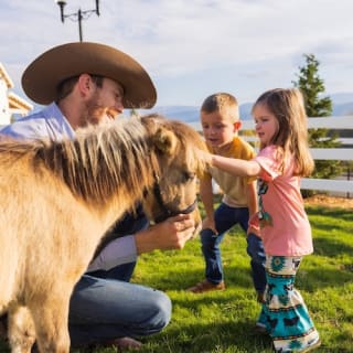 General Admission to SkyLand Ranch 4