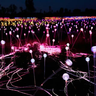 Field of Light Uluru: Sunrise Tour with Hot Drinks 3