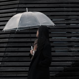 Planes bajo la lluvia 1 1