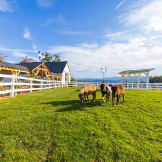 General Admission to SkyLand Ranch 7