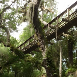 Myakka State Park E-Bike Safari 5