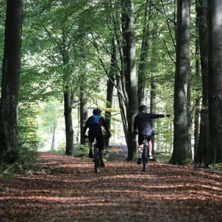 Malmo Bike Rental 1
