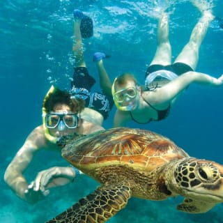 Green Island Tour: Catamaran Cruise from Cairns 1