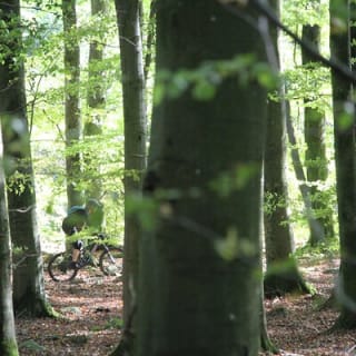Malmo Bike Rental 2