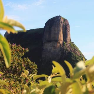 Forest Jeep Tour & Hike to Pedra Bonita 4