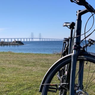 Malmo Bike Rental 5