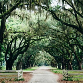 Ghosts of New Orleans: Night Walk 1