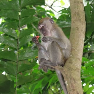 Ubin Bike Trail Adventure 6