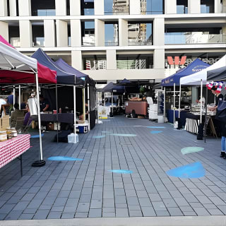 Hidden Culture of Central Auckland, walk and morning tea 2