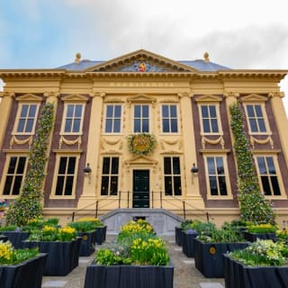 Het Mauritshuis: Toegangsticket 6