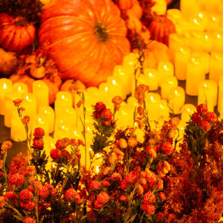 Candlelight: A Haunted Evening of Halloween Classics 4
