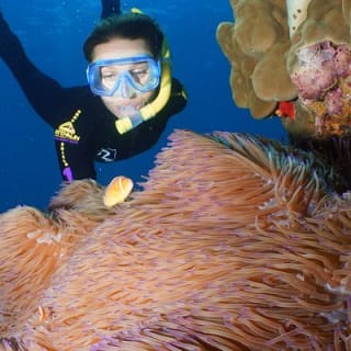 Poseidon Outer Great Barrier Reef Snorkeling and Diving Cruise from Port Douglas 5