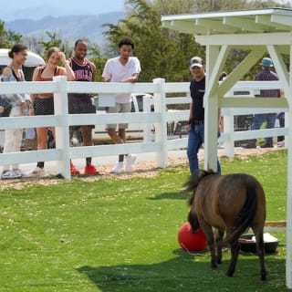 General Admission to SkyLand Ranch 12