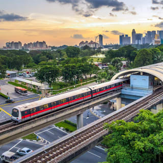 Singapore for Dummies: Food and Culture Guided Tour 2