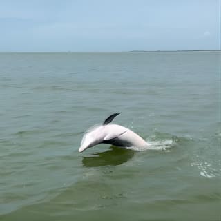 Half-Day Private Tiki Boat Beach Tour ab Fort Myers 9