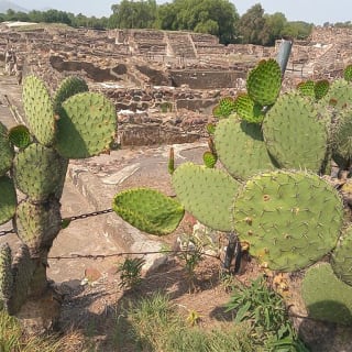 Guided Walking Tour to the Archaeological Zone of Teotihuacán 5