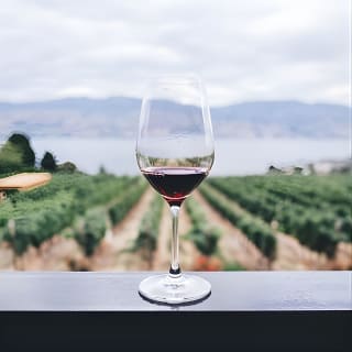 Napa and Sonoma Wine Country Full-Day Tour from San Francisco 11