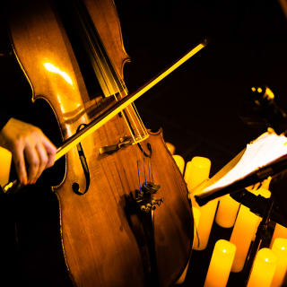 Candlelight Signature : Les Quatre Saisons de Vivaldi au Jardin d'Acclimatation 4
