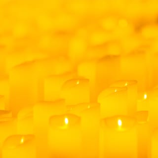 Candlelight Signature : Les Quatre Saisons de Vivaldi au Jardin d'Acclimatation 5