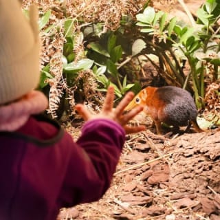 Zoo Praha: Vstupenka + Audio průvodce 2