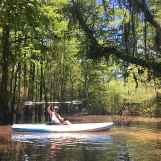 Manchac Swamp Kayak Tour 5