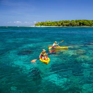 Green Island Tour: Catamaran Cruise from Cairns 4