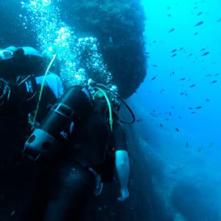 Scuba Diving Discovery de Medio Día 4