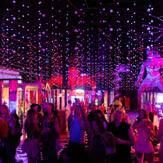 NeverNight: A Vampire Ball at Museum of Sex Miami 2