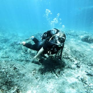 Scuba Diving Discovery de Medio Día 5