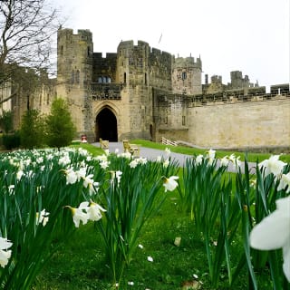 Holy Island, el castillo de Alnwick y el reino de Northumbria desde Edimburgo 6