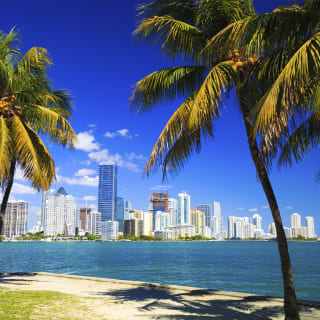 West Palm Beach Beer Wine and Spirits Fest 2