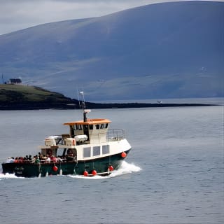 Dingle Peninsula Day Tour from Limerick: Including The Wild Altanic Way 5