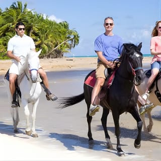 Cartagena: Paseo a Caballo por la Playa de Día o al Atardecer 7