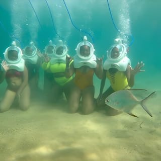Underwater Sea Trek in San Juan: Explore Beneath the Waves 7