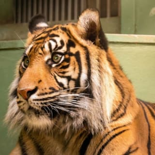 Zoo Praha: Vstupenka + Audio průvodce 8