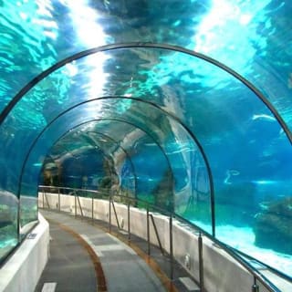SEA LIFE Benalmádena - Keine Warteschlangen 2