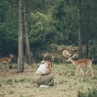Wild Forest Reserve Foundation - Visit 2