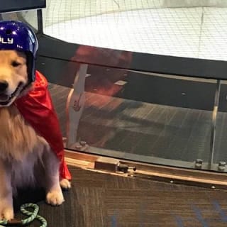 Oklahoma City Indoor Skydiving mit 2 Flügen & personalisiertem Zertifikat 9