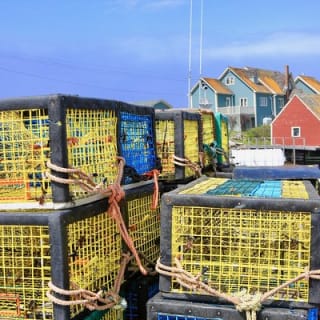 Excursion d'une journée à Peggy's Cove depuis Halifax 7