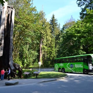 Vancouver: Capilano Suspension Bridge Park & City Tour 35