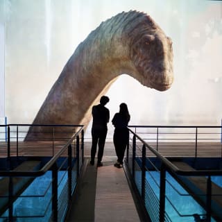 Planète Préhistorique : Dinosaures, L’expérience immersive à l’Atelier des Lumières 5