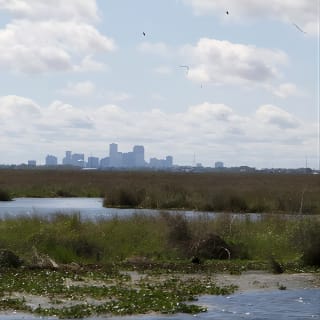 Self Guided Kayak Bayou Swamp Tour 1
