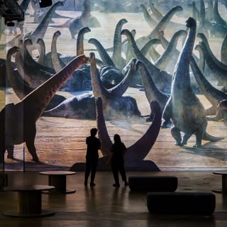 Planète Préhistorique : Dinosaures, L’expérience immersive à l’Atelier des Lumières 4