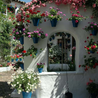 Patios de Córdoba: Visita guiada 7