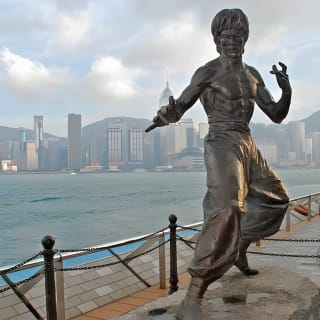 The Legendary Bruce Lee Experience Tour 1