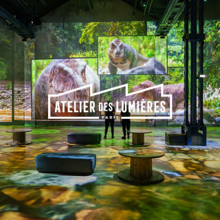 Planète Préhistorique : Dinosaures, L’expérience immersive à l’Atelier des Lumières 3